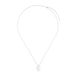 Plectrum